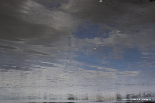 Fotografia de Rod Baires - Galeria Fotografica: Color - Foto: Color en Caminito