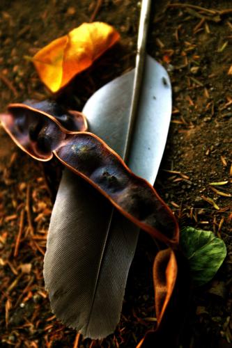 Fotografia de zonacactus - Galeria Fotografica: pequeos momentos de osio - Foto: otoo