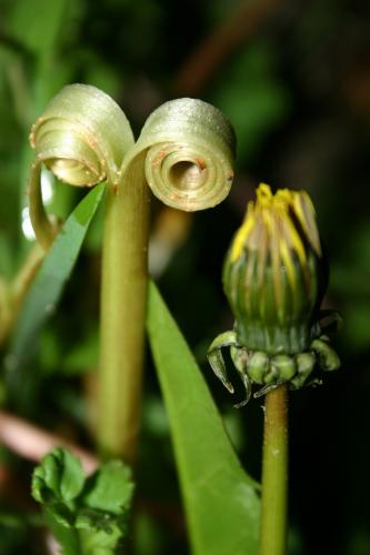 Fotografia de zonacactus - Galeria Fotografica: pequeos momentos de osio - Foto: intimidad