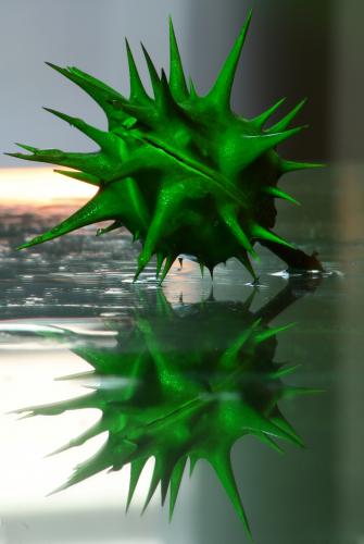 Fotografia de zonacactus - Galeria Fotografica: pequeos momentos de osio - Foto: miedo