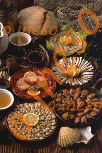 Fotografia de formato(ineso) - Galeria Fotografica: formatobook 1 - Foto: bodegon marino