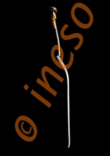 Fotografia de formato(ineso) - Galeria Fotografica: formatobook 1 - Foto: botella