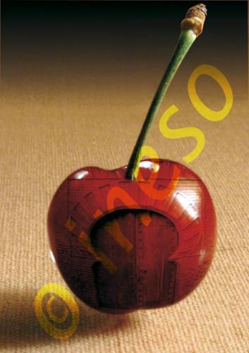 Fotografia de formato(ineso) - Galeria Fotografica: formatobook 1 - Foto: cereza