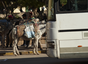 Fotografia de Susanne - Galeria Fotografica: Fes Marruecos - Foto: dos medios de transporte
