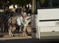 Fotos de Susanne -  Foto: Fes Marruecos - dos medios de transporte