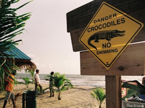 Fotografia de �ngel G� Exp�sito - Galeria Fotografica: Contrit�. Luces y colores de Guinea Ecuatorial - Foto: Cuidado Cocodrilos