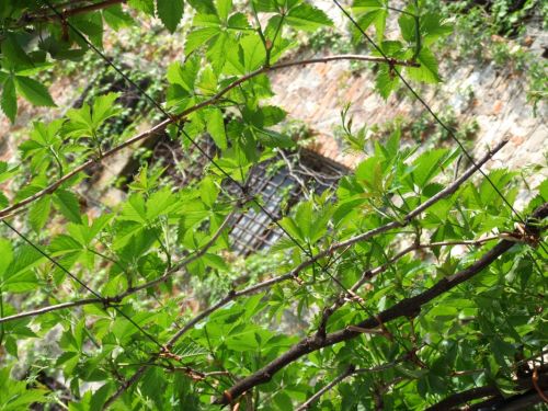 Fotografia de Emae - Galeria Fotografica: Italia - Foto: 