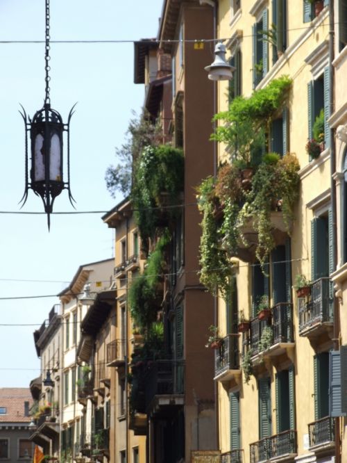 Fotografia de Emae - Galeria Fotografica: Italia - Foto: 