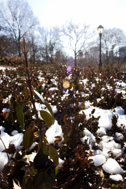 Fotografia de Luis - Galeria Fotografica: varias viajes - Foto: 