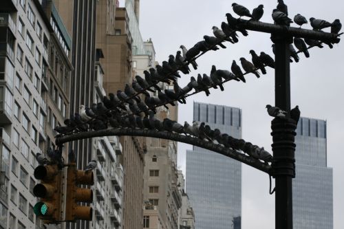 Fotografia de Luis - Galeria Fotografica: varias viajes - Foto: 