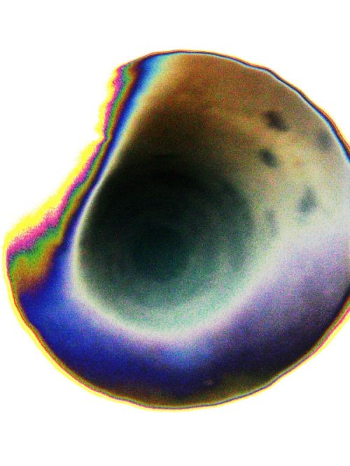 Fotografia de Milu - Galeria Fotografica: Distorcin - Foto: agujero psicodelico