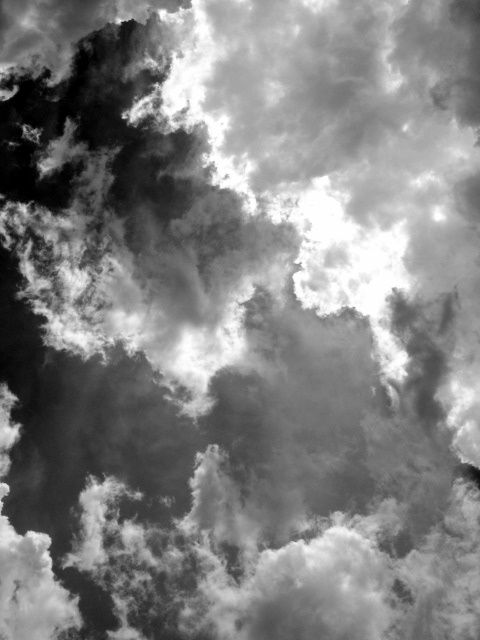 Fotografia de Milu - Galeria Fotografica: Natural - Foto: 