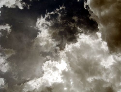 Fotografia de Milu - Galeria Fotografica: Natural - Foto: 