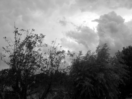 Fotografia de Milu - Galeria Fotografica: Natural - Foto: tormenta