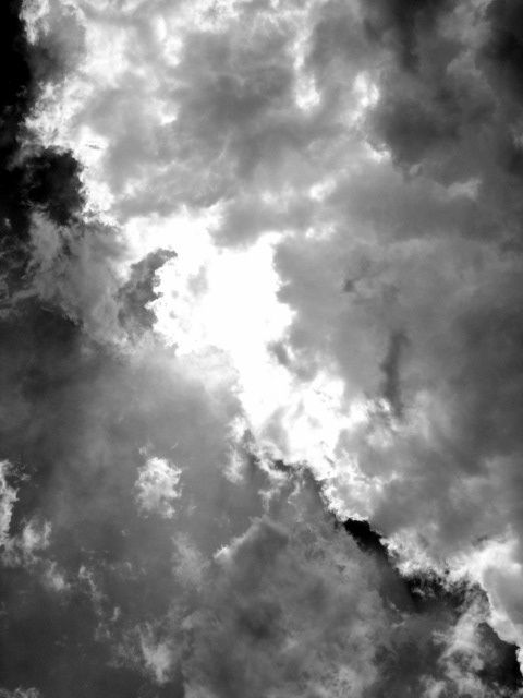 Fotografia de Milu - Galeria Fotografica: Natural - Foto: 