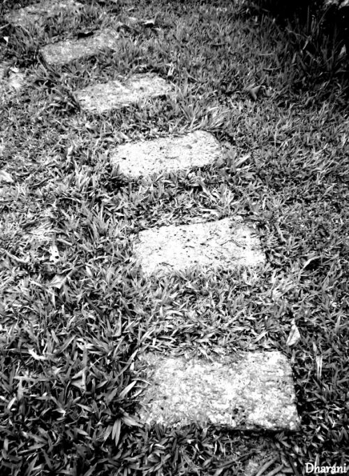 Fotografia de Dharani Clusa - Galeria Fotografica: Hacia lo perdido.... - Foto: caminando