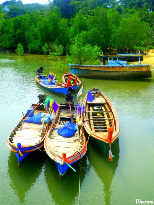 Fotografia de Dharani Clusa - Galeria Fotografica: Asian style - Foto: barcas de pesca