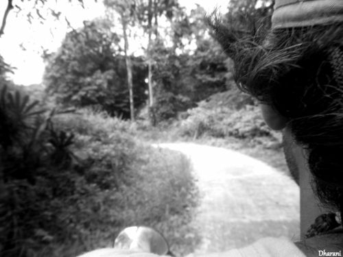 Fotografia de Dharani Clusa - Galeria Fotografica: Hacia lo perdido.... - Foto: en moto