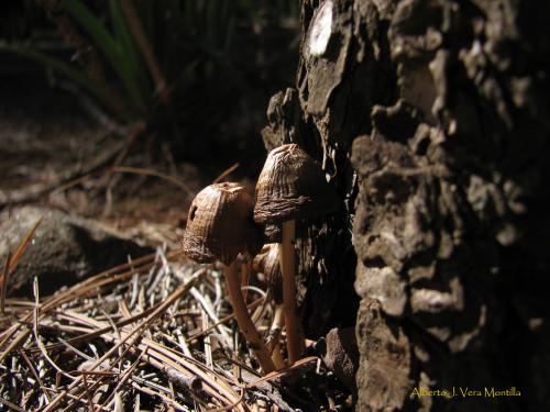Fotografia de MoNo - Galeria Fotografica: Lo que nos rodea - Foto: Setas