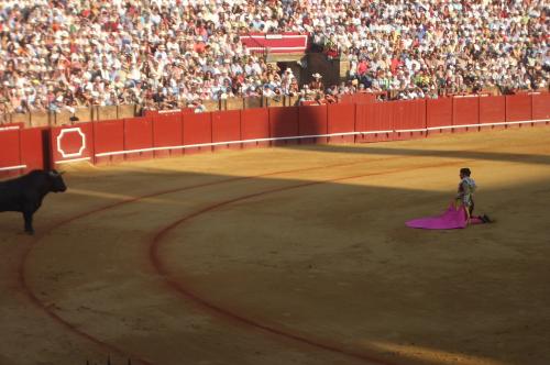 Fotografia de canguelo - Galeria Fotografica: PORTA GAYOLA - Foto: PORTA GAYOLA