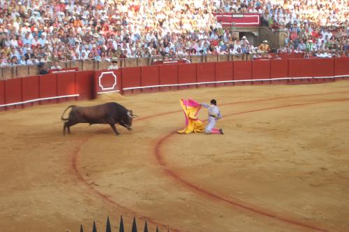 Fotografia de canguelo - Galeria Fotografica: PORTA GAYOLA - Foto: CARA AL TORO