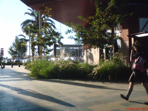 Fotografia de cromosintesis - Galeria Fotografica: Retratos - Foto: 