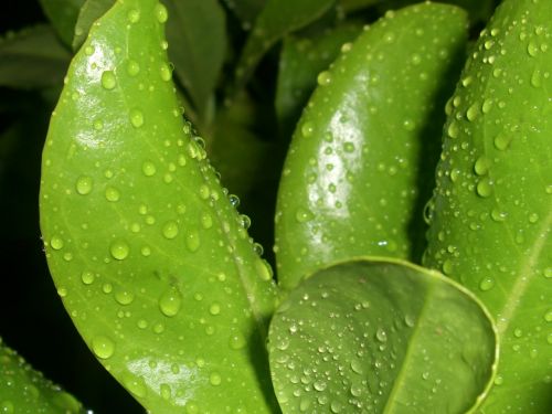 Fotografia de Juan Iglesias - Galeria Fotografica: Los Iglesias - Foto: Rocio Salvapantalla