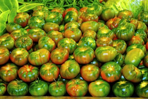 Fotografia de XCMfoto - Galeria Fotografica: FLORES-MACRO - Foto: TOMATES