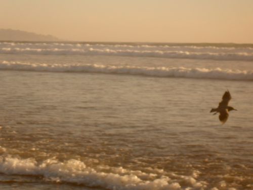 Fotografia de paocariaga - Galeria Fotografica: soando en el mar. - Foto: 