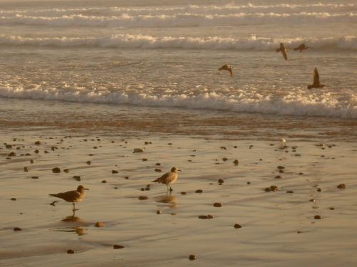 Fotografia de paocariaga - Galeria Fotografica: soando en el mar. - Foto: 