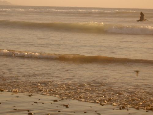 Fotografia de paocariaga - Galeria Fotografica: soando en el mar. - Foto: 