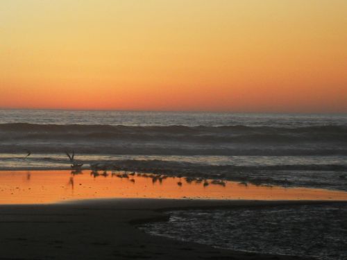 Fotografia de paocariaga - Galeria Fotografica: soando en el mar. - Foto: 