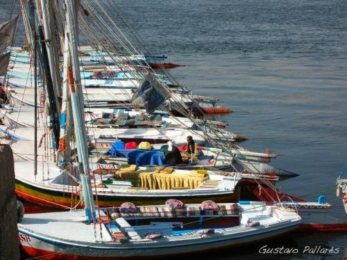 Fotografia de FOTO es HOBBY - Galeria Fotografica: Mi viaje a Egipto  - Foto: EGIPTO_1