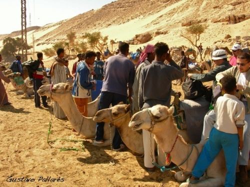 Fotografia de FOTO es HOBBY - Galeria Fotografica: Mi viaje a Egipto  - Foto: EGIPTO_6