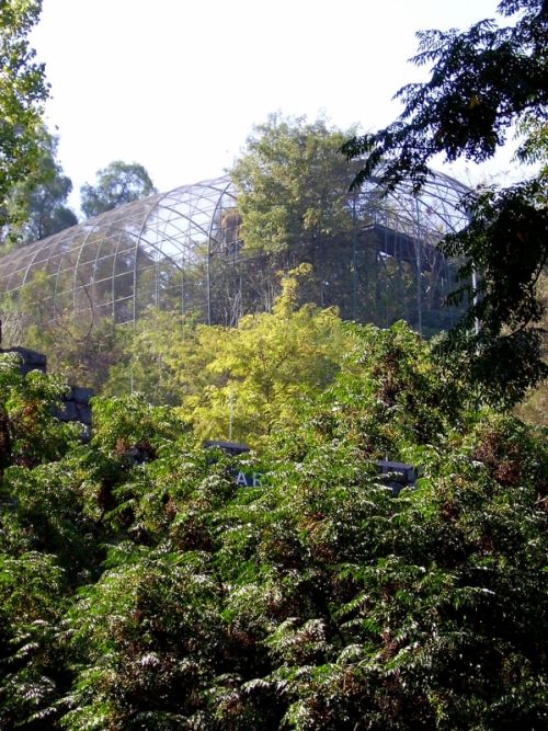 Fotografia de cromosintesis - Galeria Fotografica: Retratos - Foto: 