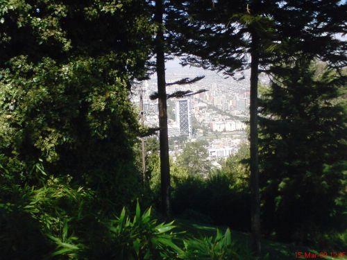 Fotografia de cromosintesis - Galeria Fotografica: Retratos - Foto: 