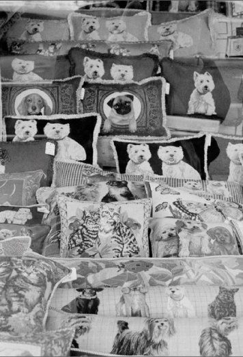 Fotografia de camara oscura galeria de arte - Galeria Fotografica: Droben_All Arriba - Foto: 