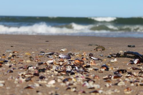 Fotografia de VagnerKadu - Galeria Fotografica: EU - Foto: 