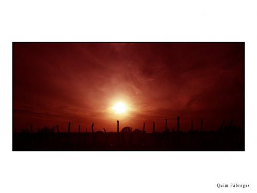 Fotografia de quim fotograf - Galeria Fotografica: Una visi�n de �frica - Foto: La apuesta en el poblado