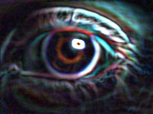 Fotografia de Ricardo L. Cieri - Galeria Fotografica: Horus - Foto: Nix