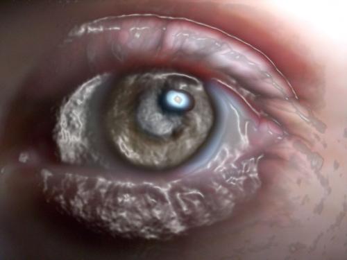 Fotografia de Ricardo L. Cieri - Galeria Fotografica: Horus - Foto: Zeus