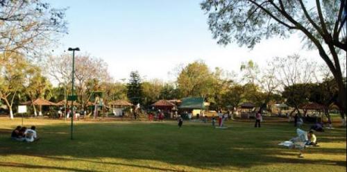 Fotografia de Ali - Galeria Fotografica: Mi ciudad - Foto: un domingo en la Alameda