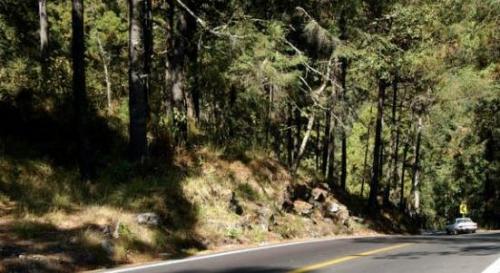 Fotografia de Ali - Galeria Fotografica: Mi ciudad - Foto: Por la libre