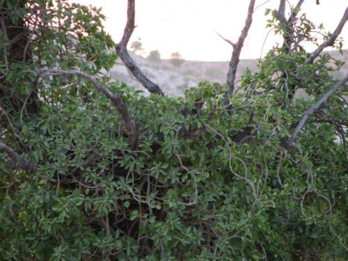 Fotografia de Brunton - Galeria Fotografica: Exteriores - Foto: 