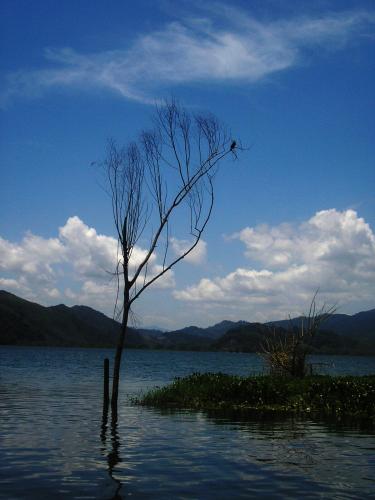 Fotografia de Golgi - Galeria Fotografica: Honduras - Foto: Soledad