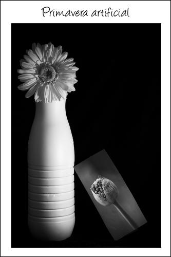 Fotografia de Jos Luis Villaverde - Galeria Fotografica: Tras el ojo monocromo - Foto: Primavera artificial