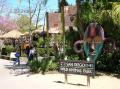 Foto de  Ana Maria - Galería: Visita a wild animal park - Fotografía: San Diego Wild Animal park