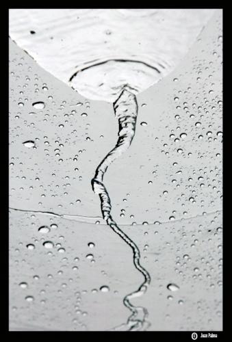 Fotografia de Juan Palma - Galeria Fotografica: Mirando Cerca - Foto: Fecundaci�n