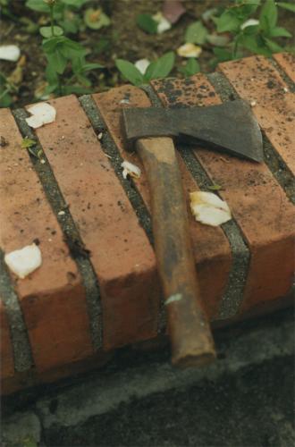 Fotografia de Natali - Galeria Fotografica: Flowers - Foto: death