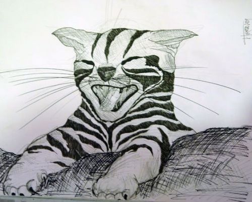 Fotografia de ANTIART - Galeria Fotografica: FINE ART - Foto: 